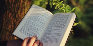 The origin and domestication of the olive tree