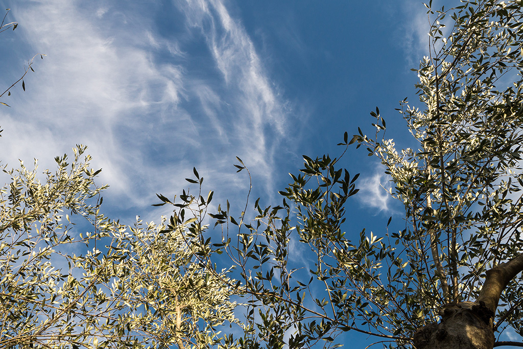 Sea Breeze - Image 6