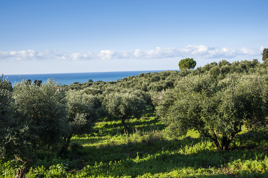 Sea Breeze - Image 2