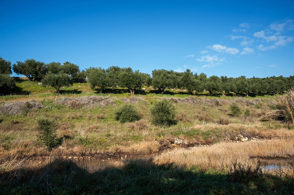 Sea Breeze - Image 3