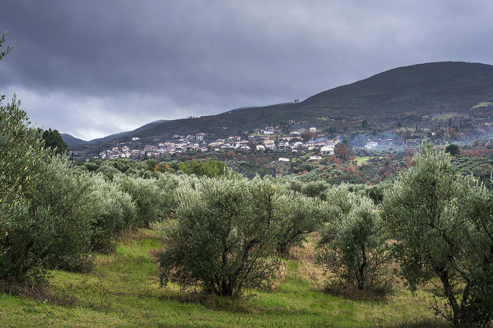 Bella Vista - Image 2