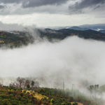 BellaVista (10)