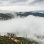 BellaVista (11)