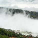 BellaVista (12)