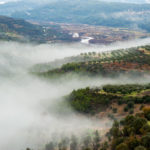 BellaVista (13)