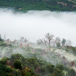 BellaVista (15)
