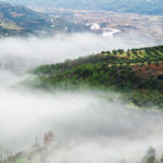 BellaVista (16)