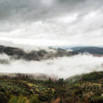 BellaVista (31)