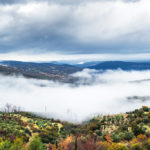 BellaVista (32)