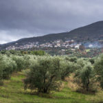 BellaVista (35)