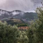 BellaVista (36)