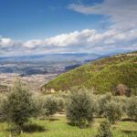 BellaVista (4)
