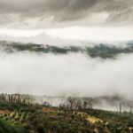 BellaVista (9)