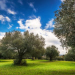 OurStory (14)