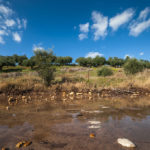 SeaBreeze (14)