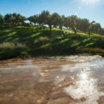 SeaBreeze (26)