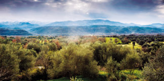 Our land, our passion 4