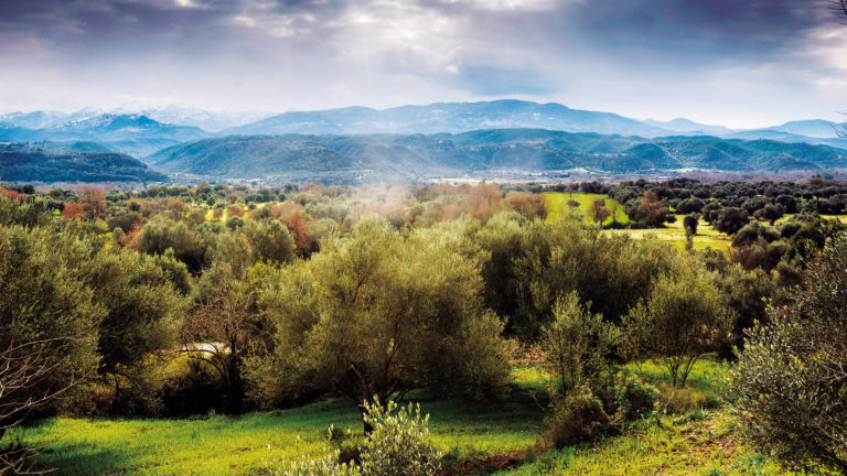 Our land, our passion 4