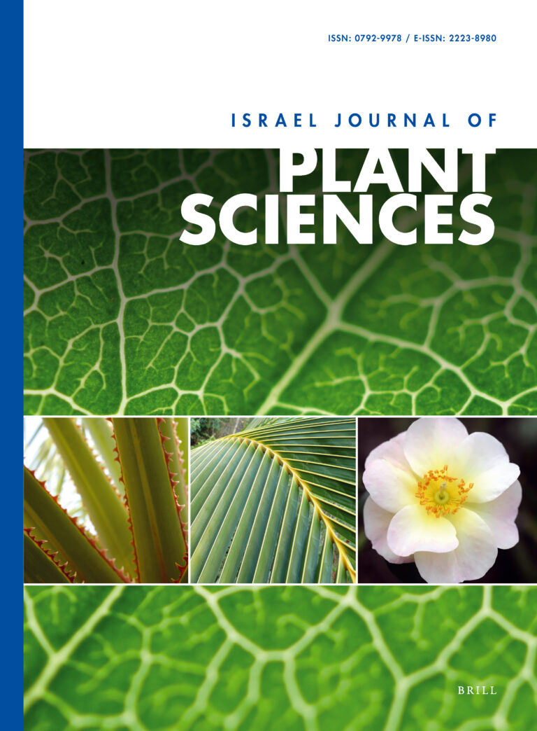 Effect of storage conditions on virgin olive oil quality