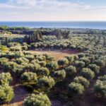 DJI_0045_1920x1080_1mb-b